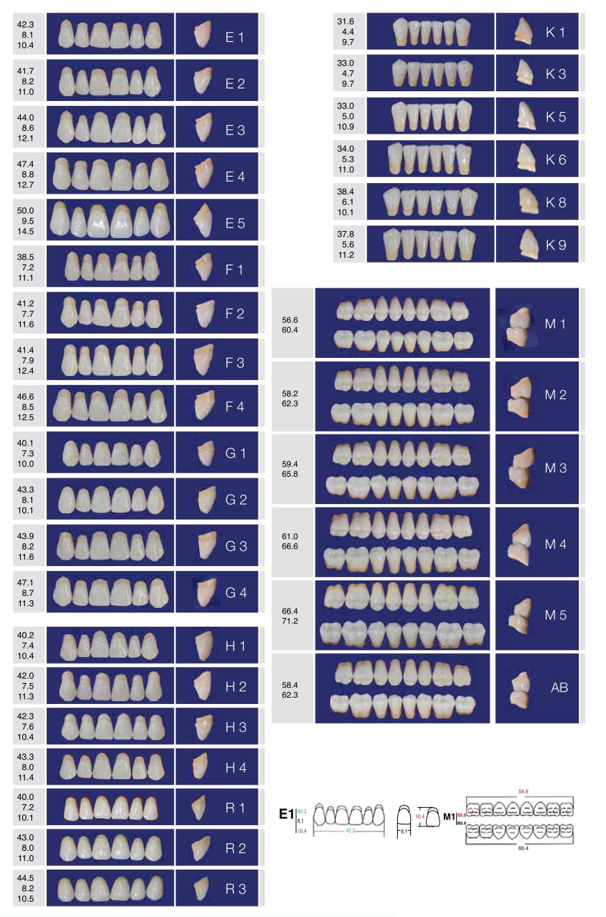 Eray Deluxe трислойни акрилни зъби цвят C2 размер G4-K8-M5   1 бр.