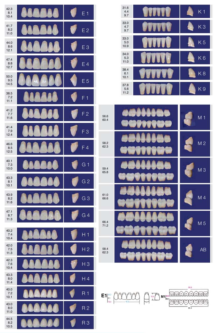 Eray Deluxe трислойни акрилни зъби цвят D2 размер H4-K3-M4   1 бр.
